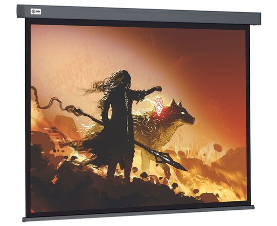  Экран Cactus CS-PSW-213X213-SG Wallscreen 1:1 настенно-потолочный рулонный серый 