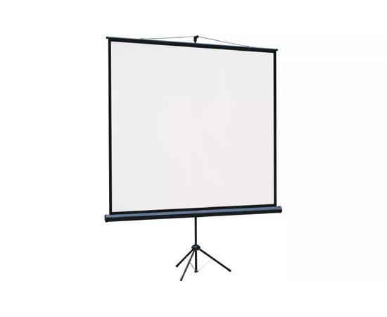  Экран Lumien Eco View (LEV-100109) White 