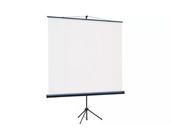  Экран Lumien Eco View (LEV-100109) White 