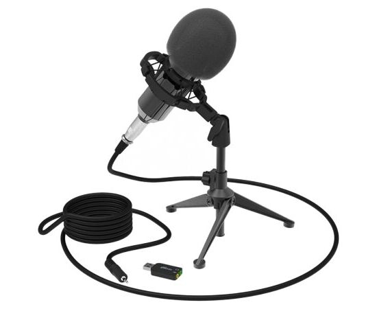  Микрофон RITMIX RDM-160 Black 