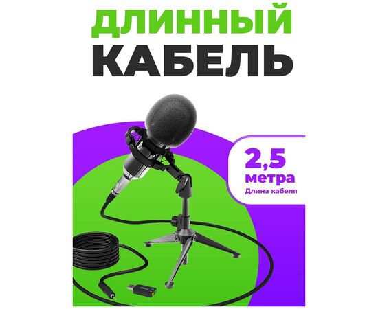  Микрофон RITMIX RDM-160 Black 