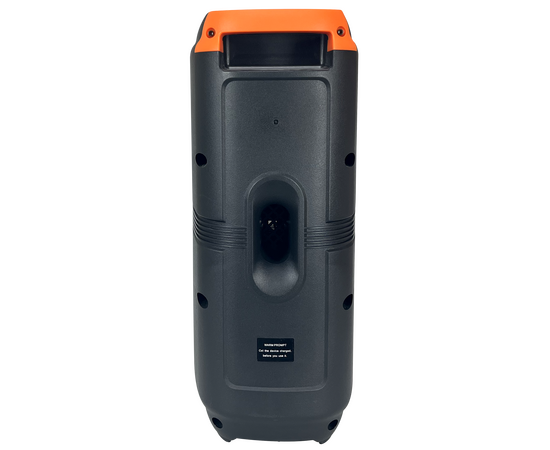  BT колонка  с  динамической подсветкой VS 204-01 LED, FM, MP3 USB/TF, JACK, TWS, 10 Вт, черная 