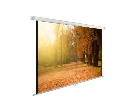  Экран Cactus 125x200см WallExpert CS-PSWE-200x125-WT 16:10 настенно-потолочный рулонный 