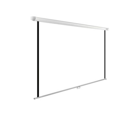  Экран Cactus 125x200см WallExpert CS-PSWE-200x125-WT 16:10 настенно-потолочный рулонный 