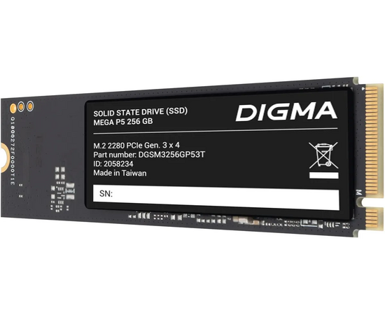  SSD Digma Mega P5 DGSM3256GP53T 256GB PCIe 3.0 x4 M.2 2280 